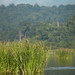 Sui Tam Photo 4