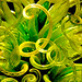Art Phipps Photo 6