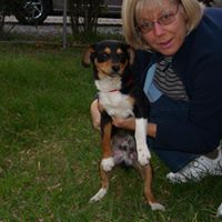 Carol Milloway Photo 3