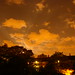 Dan Kew Photo 7