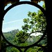 Edwin Hacking Photo 4