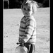Martin Nino Photo 3