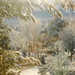 Virginia Roberson Photo 10