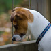 Jack Stover Photo 4
