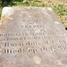 Frances Clark Photo 2