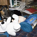 Jayne Winters Photo 9