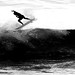 Pierce Flynn Photo 4