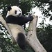 Zhi Li Photo 6