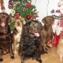 Peggy Thompson Photo 32