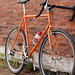 Kelly Cross Photo 9
