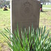 Ronald Sapper Photo 2