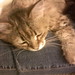 Ethel Sweet Photo 9