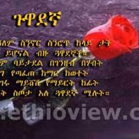 Dawit Fekadu Photo 6