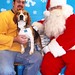 Brian Beagle Photo 7