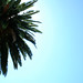 Tanya King Photo 14