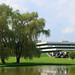 Donald Moore Photo 26