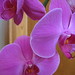 Connie Moody Photo 16