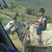 Ana Anda Photo 4