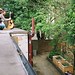 Robin Gray Photo 11