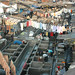 Karen Friar Photo 5