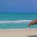 Maritza Cuba Photo 2