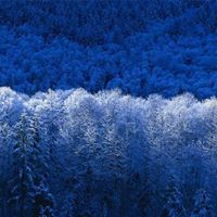 Rajesh Magar Photo 8