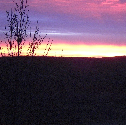 Lori Little Photo 16