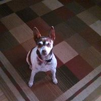 Cynthia Doherty Photo 12