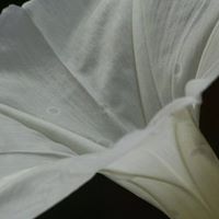 Joyce Blair Photo 22