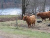 Donald Lovering Photo 8