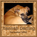 Hannah Darling Photo 13