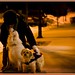 Jami Oliver Photo 6