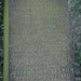 John Leftwich Photo 9