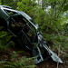 Levon Ford Photo 6