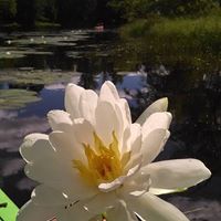 Jill Klotz Photo 9