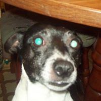 Nancy Shattuck Photo 15