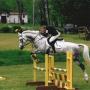 Michelle Tubbs Photo 15