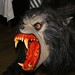 Jonathan Forry Photo 8