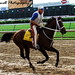 Larry Jones Photo 12