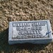 William Sharp Photo 8