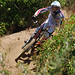 Kevin Findlay Photo 12