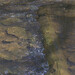 Crystal Pickett Photo 10