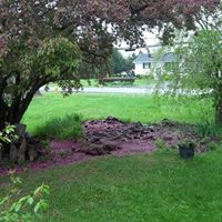 Dawn Vanhorn Photo 17