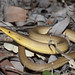 Stephen Burton Photo 10