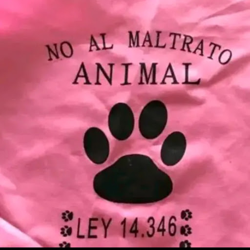 Kelly Anaya Photo 18