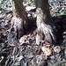 Heather Fletcher Photo 7