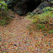 Frederick Cave Photo 6