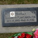 Elizabeth Plant Photo 9