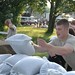 Joseph Tore Photo 7