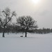 Jan Moorhead Photo 4